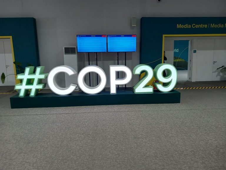 WhatsApp Image 2024-11-25 at 10.25.30